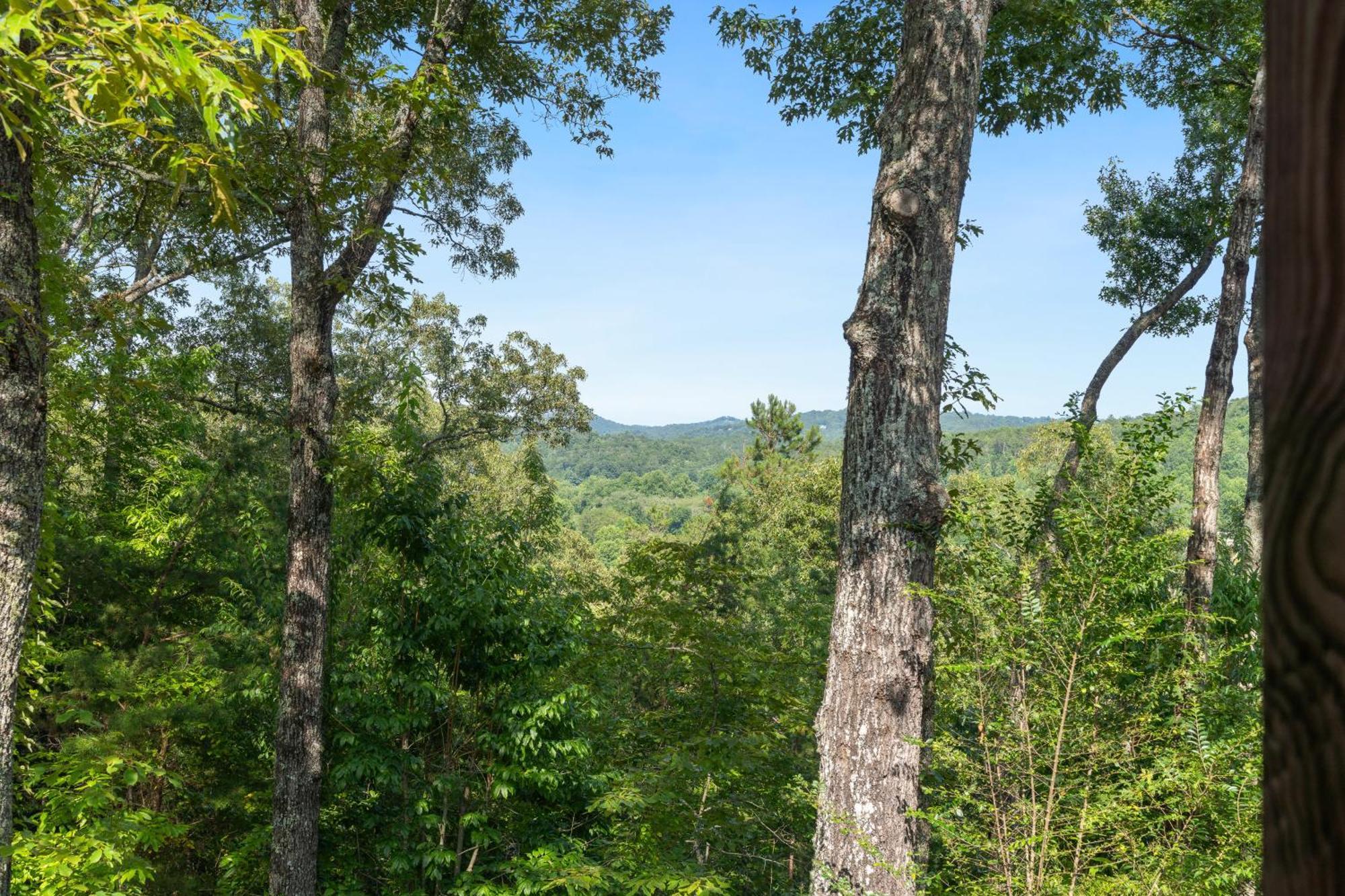 Mountain Rivers Lodge Blue Ridge Exteriér fotografie